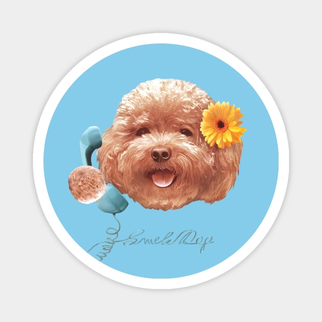 Toy Poodle Magnet by zkozkohi